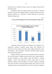 Prestižo ženklai: viduriniosios klasės klaipėdiečių požiūris į drabužių ir aksesuarų klastotes 19 puslapis