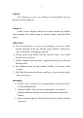 Prestižo ženklai: viduriniosios klasės klaipėdiečių požiūris į drabužių ir aksesuarų klastotes 4 puslapis