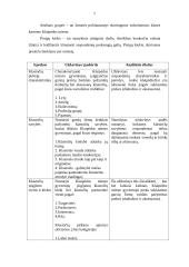 Prestižo ženklai: viduriniosios klasės klaipėdiečių požiūris į drabužių ir aksesuarų klastotes 6 puslapis