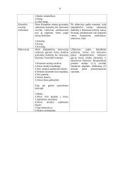 Prestižo ženklai: viduriniosios klasės klaipėdiečių požiūris į drabužių ir aksesuarų klastotes 7 puslapis