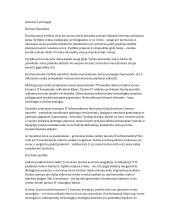 Įmonės IT strategija