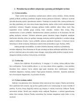 Socialinės adaptacijos ypatumai 6 puslapis