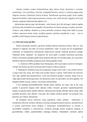 Sociologijos tyrimas: nakvynės namų teikiamų paslaugų kokybė 5 puslapis