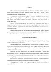 Specialiųjų poreikių asmenys 2 puslapis