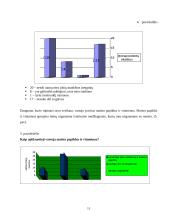 Sveikatos priežiūros ypatumai 11 puslapis
