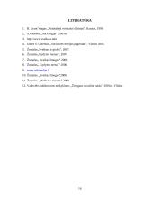 Sveikatos priežiūros ypatumai 16 puslapis