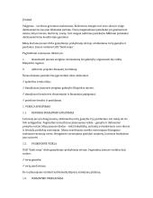 Verslo planas UAB ”Saldi svaja”