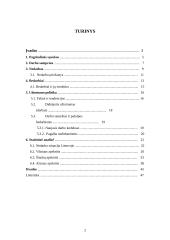 Šalies apskričių nedarbo lygio statistinis įvertinimas 2 puslapis