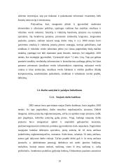 Šalies apskričių nedarbo lygio statistinis įvertinimas 19 puslapis