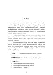 Šalies apskričių nedarbo lygio statistinis įvertinimas 3 puslapis