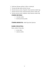 Šalies apskričių nedarbo lygio statistinis įvertinimas 4 puslapis