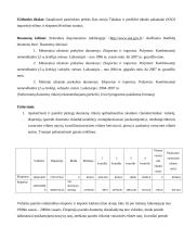 Tarptautinės prekybos apskaita ir analizė 2 puslapis