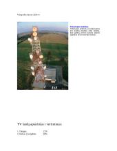 Televizija šešiolikmečių akimis 9 puslapis