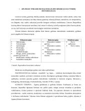 Teritorijos tinkamumas gydymui 2 puslapis