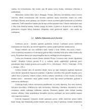 Teritorijos tinkamumas gydymui 4 puslapis