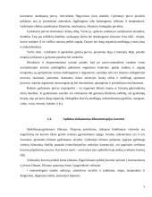 Teritorijos tinkamumas gydymui 5 puslapis