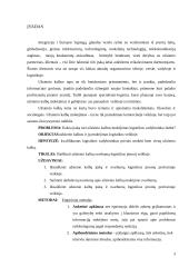 Užsienio kalbų mokėjimo svarba logistikos vadybininko veikloje 3 puslapis