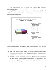 Užsienio kalbų mokėjimo svarba logistikos vadybininko veikloje 7 puslapis