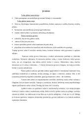 Vaikų globos namai 3 puslapis