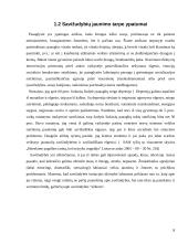 Vaikų ir jaunimo savižudybių socialinių priežasčių analizė 6 puslapis