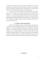 Vyro ir moters vaidmenų pasiskirstymas ir suvokimas šeimoje 12 puslapis