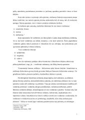 Vyro ir moters vaidmenų pasiskirstymas ir suvokimas šeimoje 3 puslapis