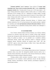 Vyro ir moters vaidmenų pasiskirstymas ir suvokimas šeimoje 5 puslapis