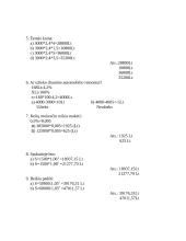 Pajamų ir mokesčių skaičiavimas 5 puslapis