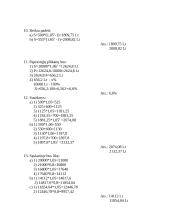 Pajamų ir mokesčių skaičiavimas 6 puslapis