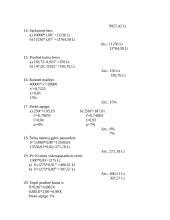 Pajamų ir mokesčių skaičiavimas 7 puslapis