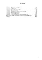 Nemažai gerų uždavinių mikroekonomikai 2 puslapis