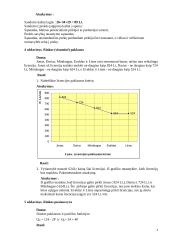 Nemažai gerų uždavinių mikroekonomikai 4 puslapis