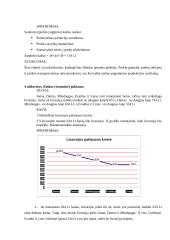 Mikroekonomika - ribotumo ir pasirinkimo uždaviniai 4 puslapis