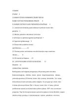 Kaimo plėtros planas