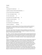 Tvarto rekonstrukcija į bokšinę karvidę