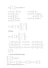 Veiksmai su matricomis 2 puslapis