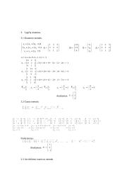 Veiksmai su matricomis 3 puslapis