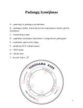 Ratlankiai ir padangos referatas 6 puslapis