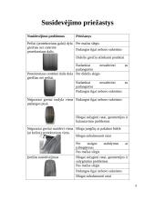 Ratlankiai ir padangos referatas 9 puslapis