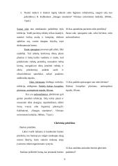 Asmens švarinimasis. Higiena. Pragulų profilaktika 8 puslapis