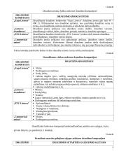 Draudimas nuo nelaimingų atsitikimų 4 puslapis