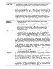 Draudimas nuo nelaimingų atsitikimų 5 puslapis