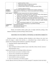 Draudimas nuo nelaimingų atsitikimų 8 puslapis
