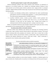 Draudimas nuo nelaimingų atsitikimų 9 puslapis