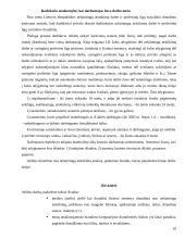 Draudimas nuo nelaimingų atsitikimų 10 puslapis