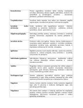 Socialinio darbo sąvokos 2 puslapis