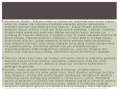 Fizika - elektromagnetizmas 18 puslapis