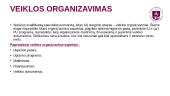 Nevalstybinės įstaigos, vykdančios ikimokyklinio ir / ar priešmokyklinio ugdymo programas, steigimo etapai 12 puslapis