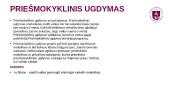 Nevalstybinės įstaigos, vykdančios ikimokyklinio ir / ar priešmokyklinio ugdymo programas, steigimo etapai 3 puslapis