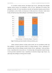 Depresija ir ja sergančių žmonių gyvenimo kokybė 12 puslapis